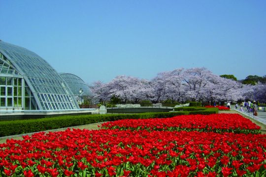 【大会当日は入園無料】京都府立植物園で応援しよう！