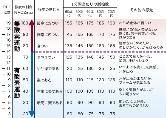 自分の体力に応じた効率的なトレーニング！